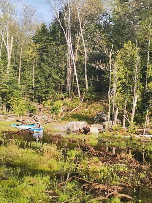 فيلا Chalet L'Ecureuil Chertsey المظهر الخارجي الصورة